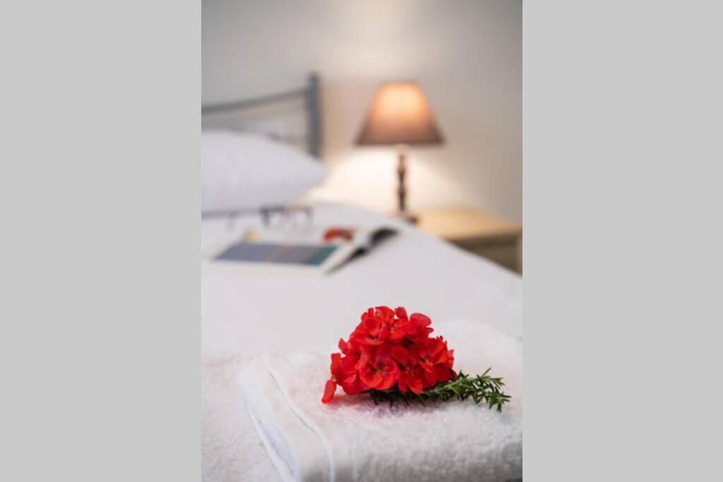 Apartment In The Center Of Lefkas Lefkada City Luaran gambar